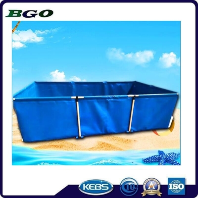 ท่าเรือ Qingdao Loading ทานปลากระเบื้องสําหรับฟาร์มปลูกปลากันน้ํา