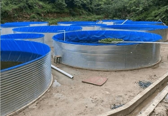 สระน้ํา สระน้ําปลาพอลิเทนที่มีแผ่นเหล็กกระดาษ 10M D 1.20M H
