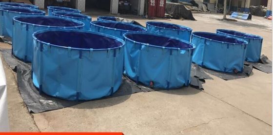 เสาปลา 4000L ที่กันไฟ พร้อมปลาสีฟ้า สะพานปลา Liner สภาพแวดล้อม PVC ถังปลาพับ