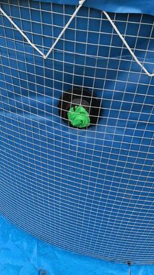 2MM สแตนเลส Mesh ธาตุปลากระเบื้องและกระเบื้องปลาการเลี้ยงปลา กลมปลาสระปะการังปลา