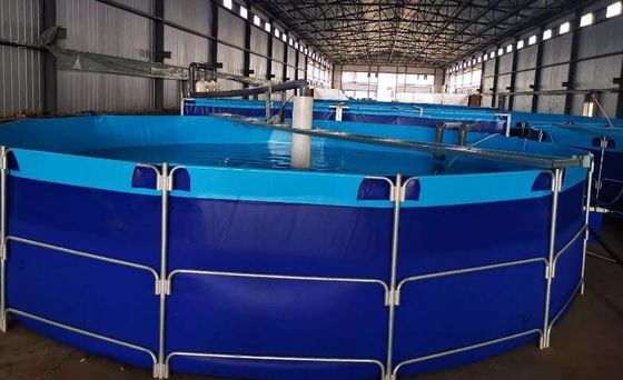 ถังเลี้ยงปลากลางแจ้งรอบ TPU 50000L 100000L ด้วยกรอบโลหะ ถังปลาพลาสติก