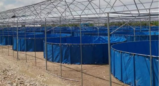 5000 ลิตร ถังปลาพับได้ 0.9 มม PVC ผ้าใบสําหรับฟาร์มปลา สระปลา สระปลาพลาสติก