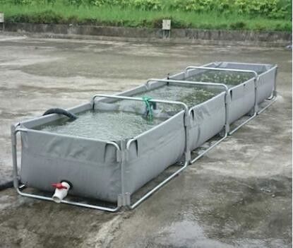 พับได้ 3000L 0.9mm PVC ผ้าใบปลา ถังปลา สระปลา ถังพลาสติก Diy สระปลา