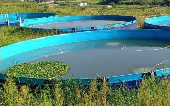 50000L นุ่มนวล สามารถพับได้ 0.9 มิลลิเมตร พีวีซี ผ้าใบ ถังปลา กลางแจ้ง สระปลา