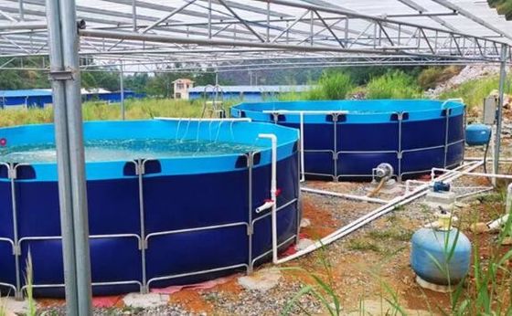 50000L นุ่มนวล สามารถพับได้ 0.9 มิลลิเมตร พีวีซี ผ้าใบ ถังปลา กลางแจ้ง สระปลา
