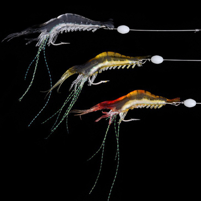 กุ้งเปลือกเปลือกเปลือกเปลือกเปลือกเปลือกเปลือกเปลือกเปลือก 9 ซม 6 กรัม