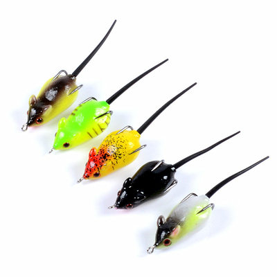 5 สี 5.10 ซม/8.20 กรัม แป้ง แป้งเปลือกเปลือกเปลือกปลา
